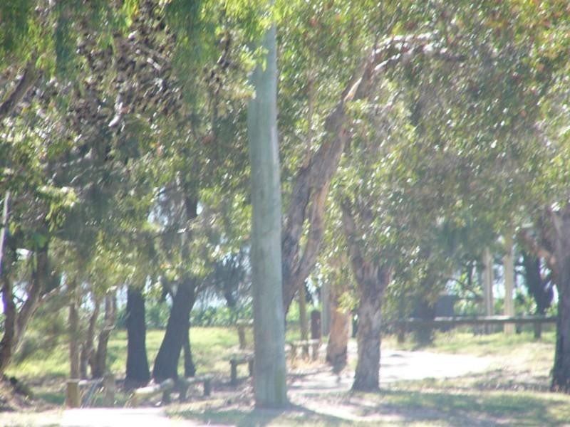 56 Palm View Drive, Moore Park Beach QLD 4670