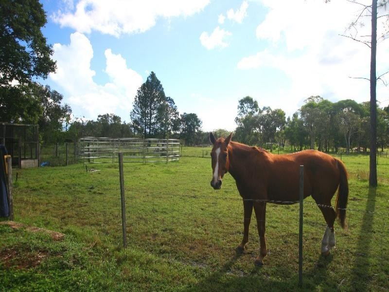 South Kolan QLD 4670