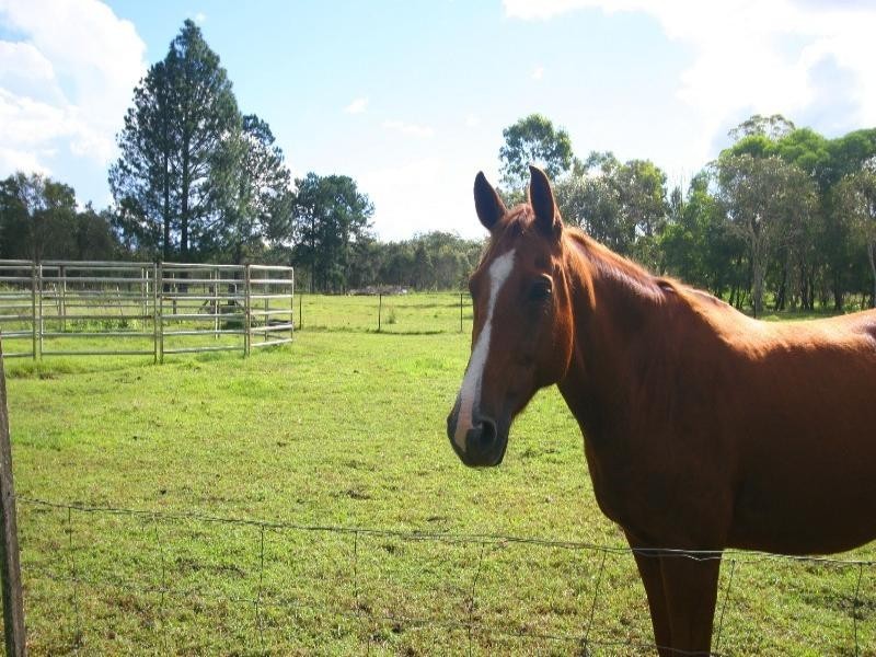 South Kolan QLD 4670