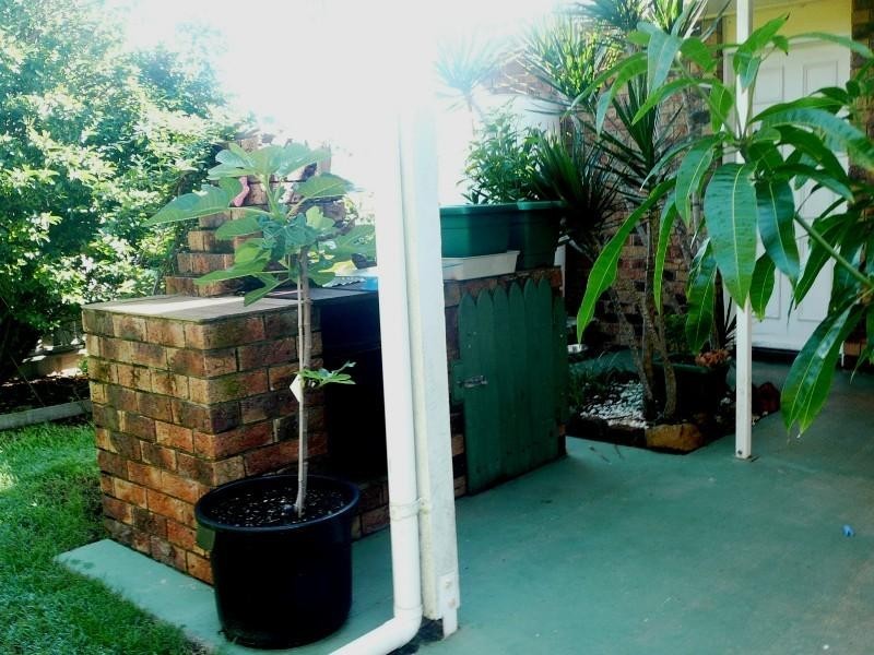 15 Foreshore Parade, Bargara QLD 4670