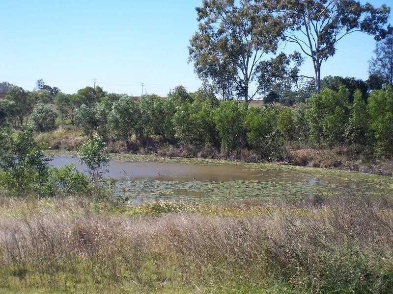 South Bingera QLD 4670