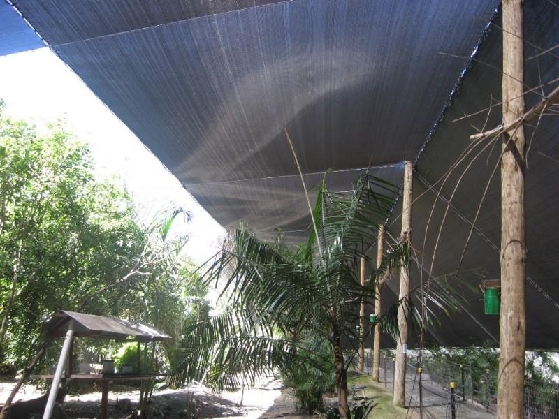 Apple Tree Creek QLD 4660