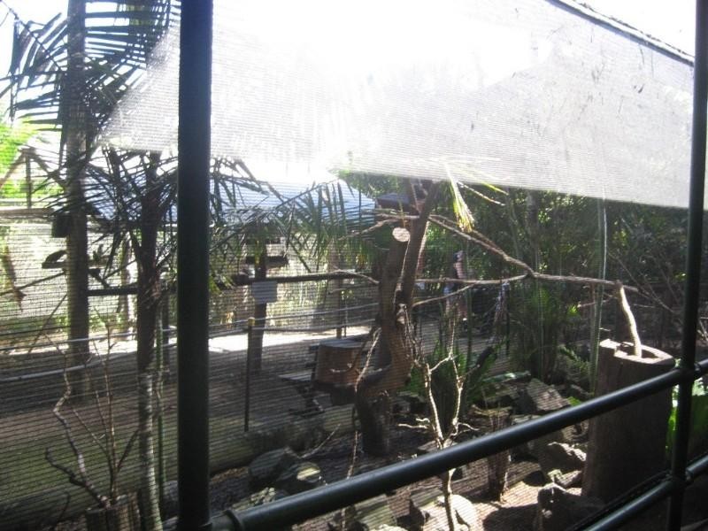 Apple Tree Creek QLD 4660