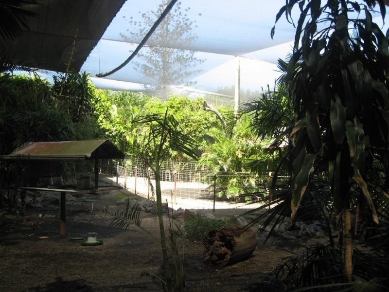 Apple Tree Creek QLD 4660