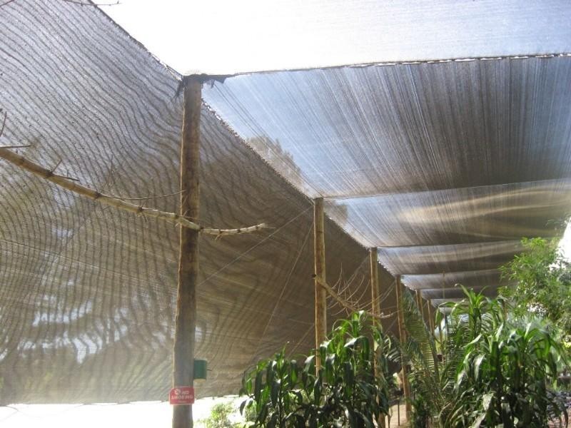 Apple Tree Creek QLD 4660