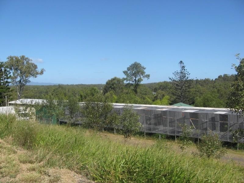 Apple Tree Creek QLD 4660