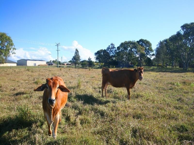 155 Innes Park Road, Innes Park QLD 4670