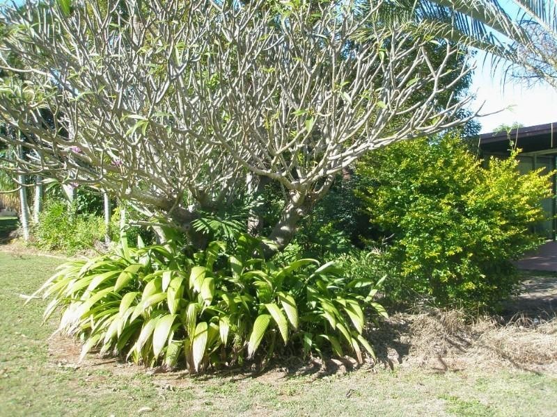 52 Henricksens Road, Sharon QLD 4670