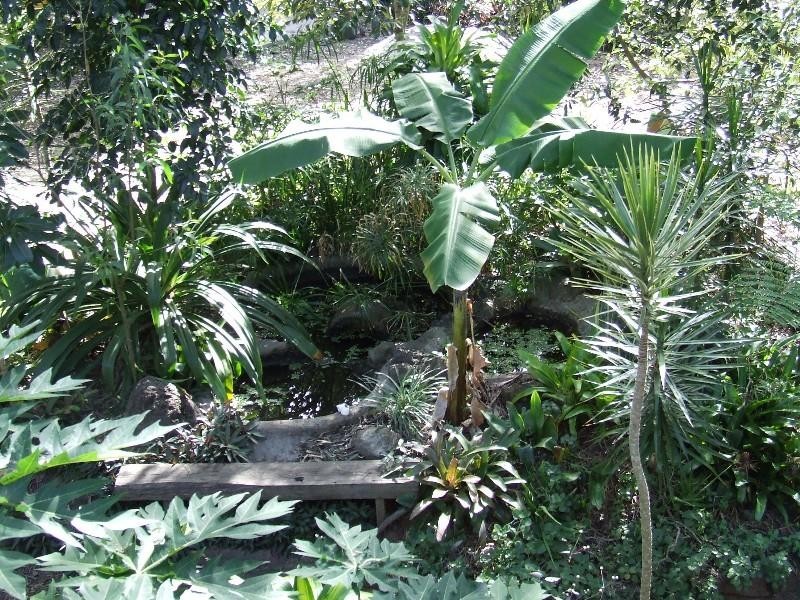 14 Kingfisher Court, Moore Park Beach QLD 4670