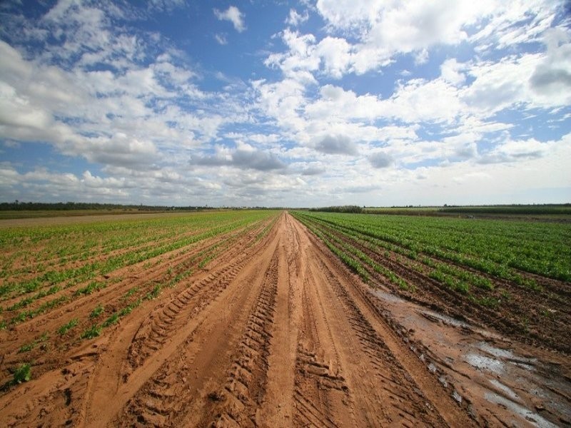 352 Moore Park Road, Moore Park Beach QLD 4670