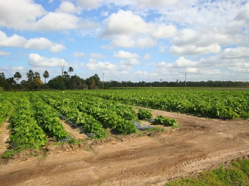 352 Moore Park Road, Moore Park Beach QLD 4670