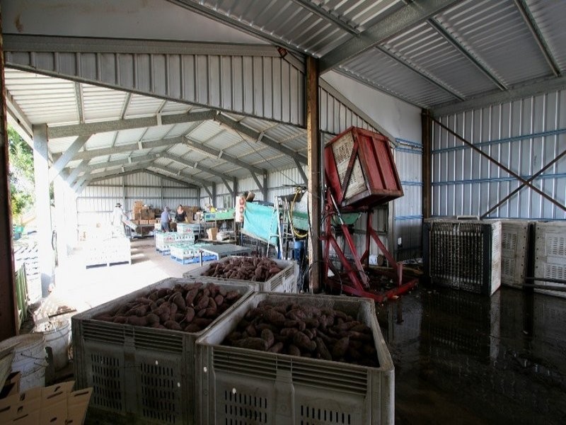 352 Moore Park Road, Moore Park Beach QLD 4670