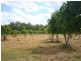 1056 Moorlands Road, Moorland QLD 4670