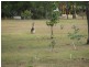 LOT 36 – 44 Seahorse Court, Innes Park QLD 4670