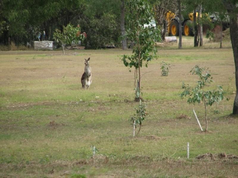 LOT 36 – 44 Seahorse Court, Innes Park QLD 4670