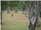 LOT 36 – 44 Seahorse Court, Innes Park QLD 4670