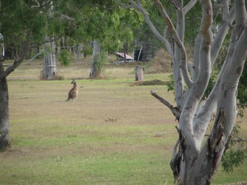LOT 36 – 44 Seahorse Court, Innes Park QLD 4670