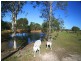 283 Bucca Road, Bundaberg North QLD 4670