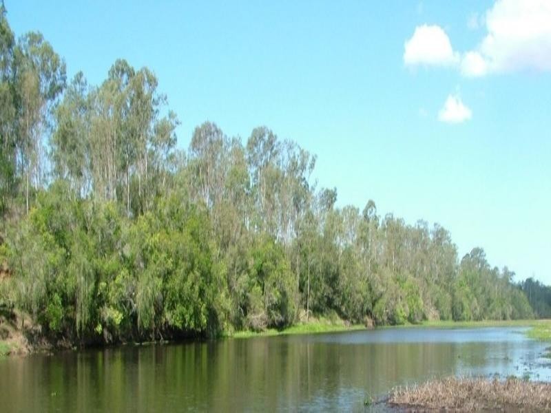 Lot 10 Pine Creek Road, Givelda QLD 4670
