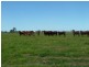 Lot 10 Pine Creek Road, Givelda QLD 4670