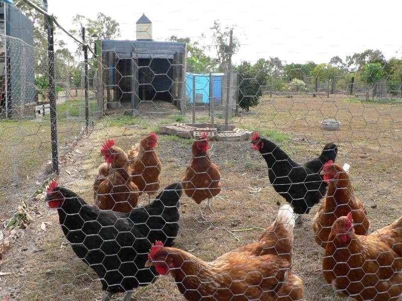 12 Aquamarine Road, Branyan QLD 4670