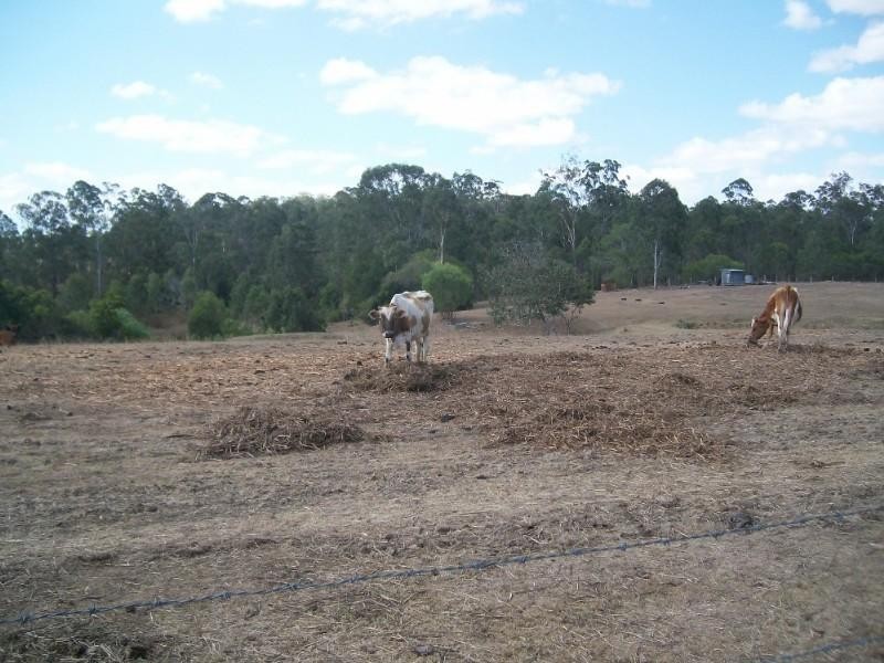 54 Svensons Road, Pine Creek QLD 4670