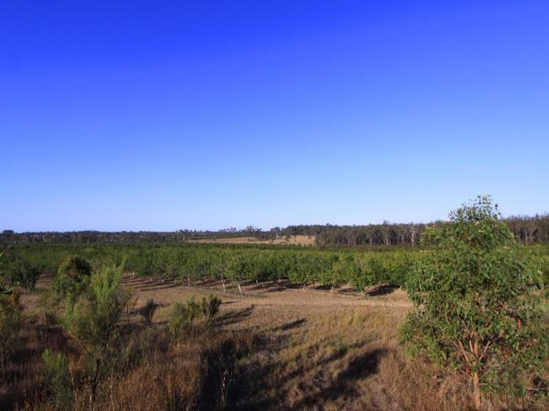 127 Barrs Road, Bucca QLD 4670