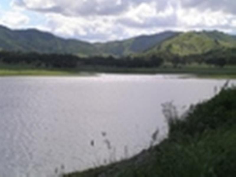 39 Wagon Wheel Court, Maroondan QLD 4671