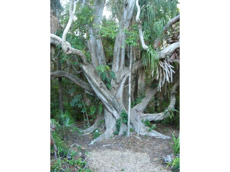 38 Lagoon Drive, Moore Park Beach QLD 4670