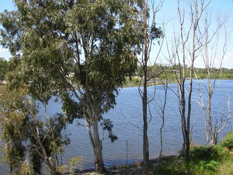 33 Lorikeet Avenue, Woodgate QLD 4660