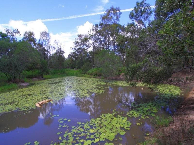 346 Ten Mile Road, Sharon QLD 4670