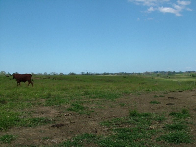 Lot 10 Pine Creek Road, Givelda QLD 4670