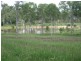 517 North Bucca Road, Bucca QLD 4670