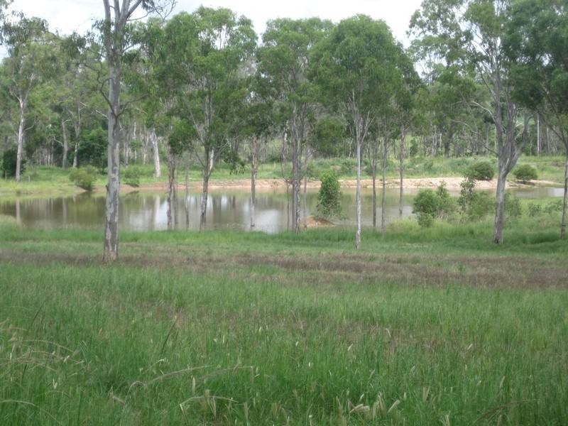 517 North Bucca Road, Bucca QLD 4670