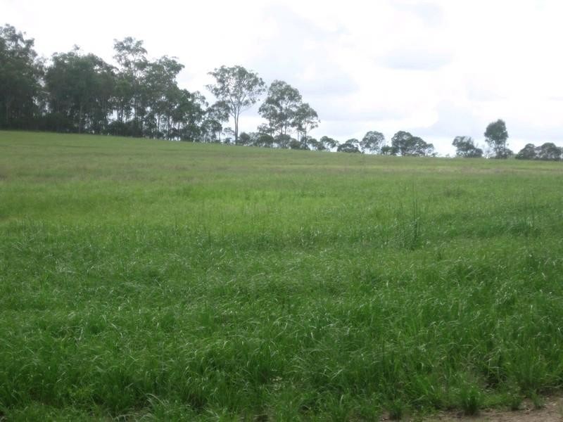 517 North Bucca Road, Bucca QLD 4670
