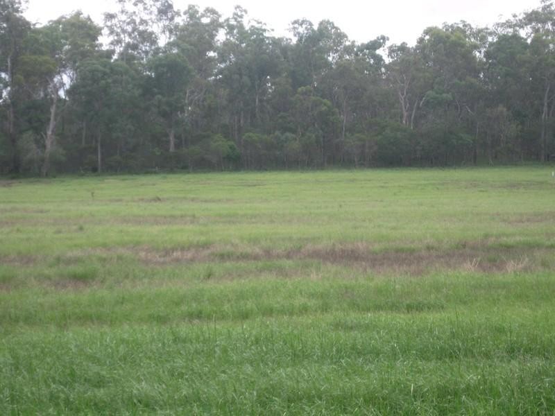 517 North Bucca Road, Bucca QLD 4670