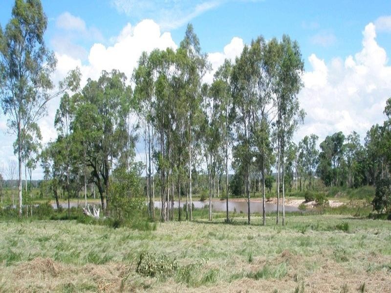 517 North Bucca Road, Bucca QLD 4670