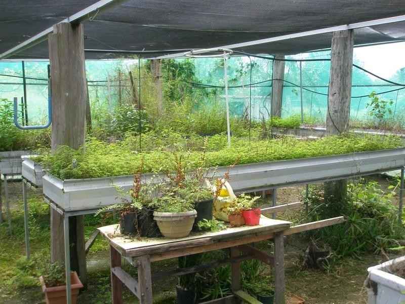 87 South Littabella Road, Yandaran QLD 4673