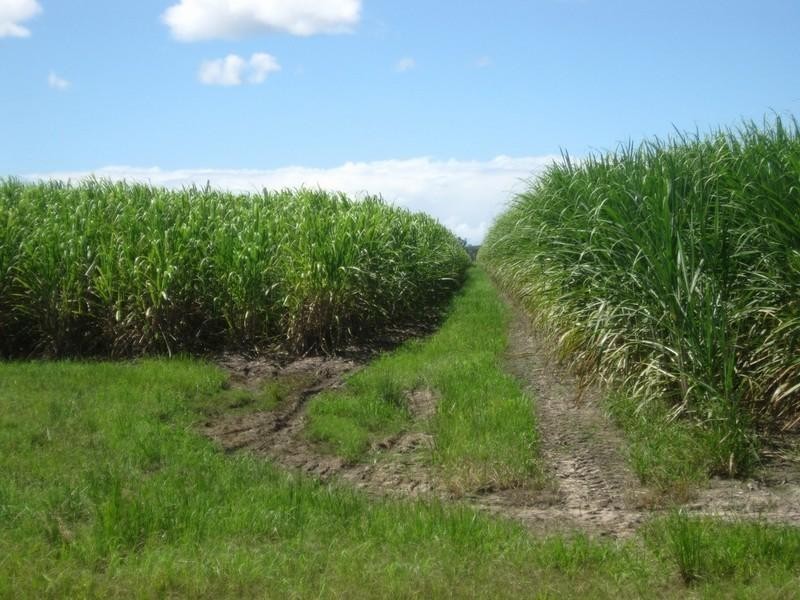 339 Garryowen Road, Farnsfield QLD 4660