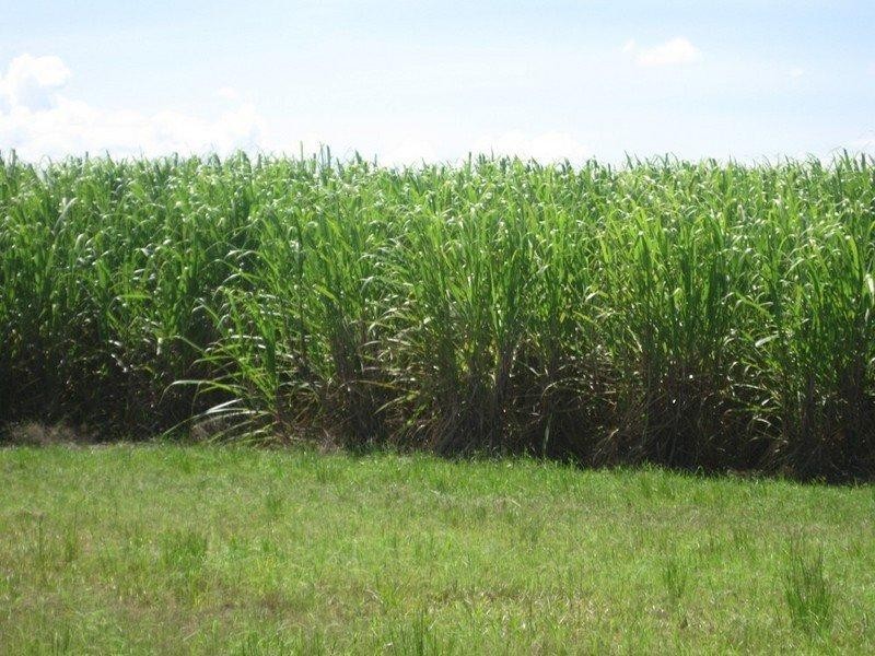 339 Garryowen Road, Farnsfield QLD 4660