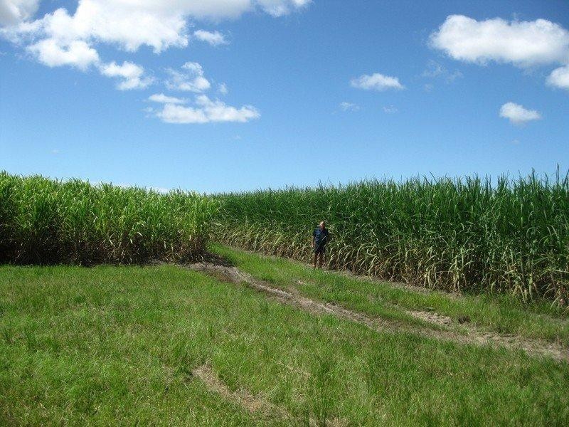 339 Garryowen Road, Farnsfield QLD 4660