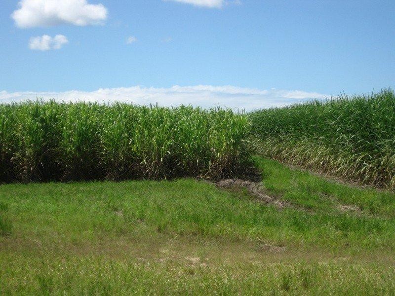 339 Garryowen Road, Farnsfield QLD 4660