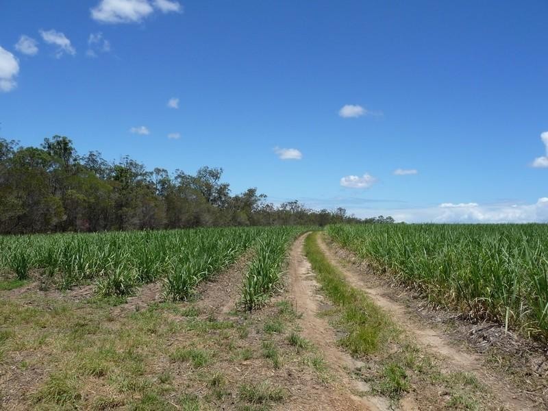 339 Garryowen Road, Farnsfield QLD 4660