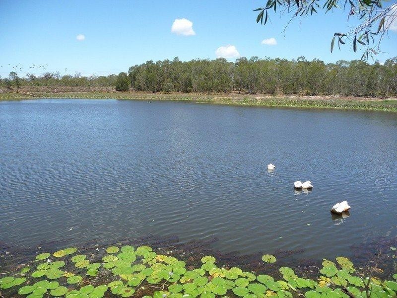 339 Garryowen Road, Farnsfield QLD 4660