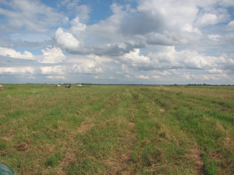 lot 1 Gordons Road, Alloway QLD 4670