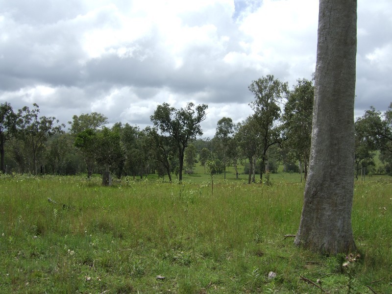 Bundaberg QLD 4670