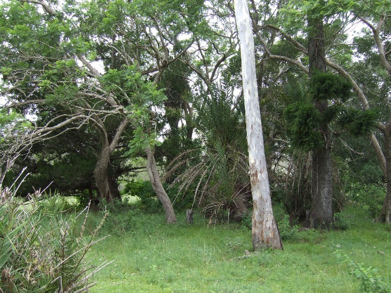 Bundaberg QLD 4670