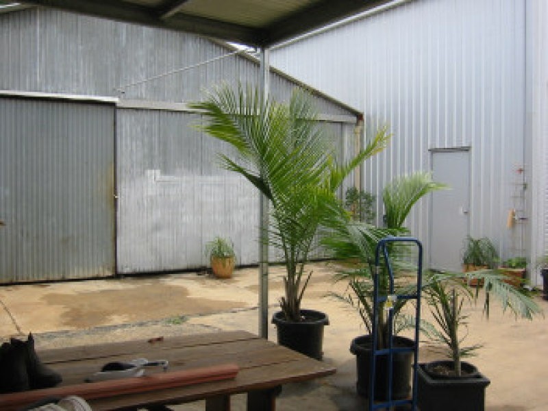 South Kolan QLD 4670