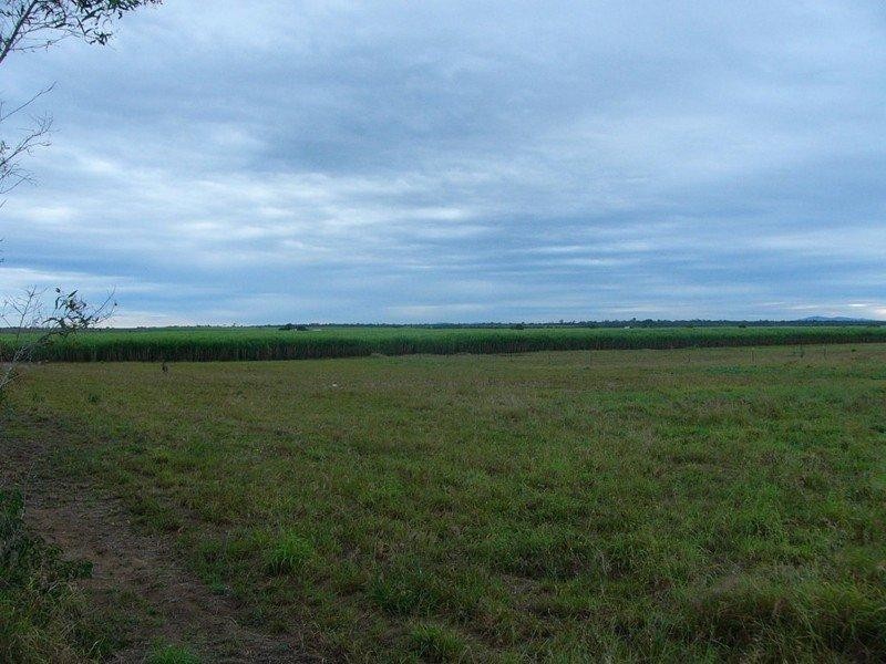 251 Murdochs Road, Moore Park Beach QLD 4670