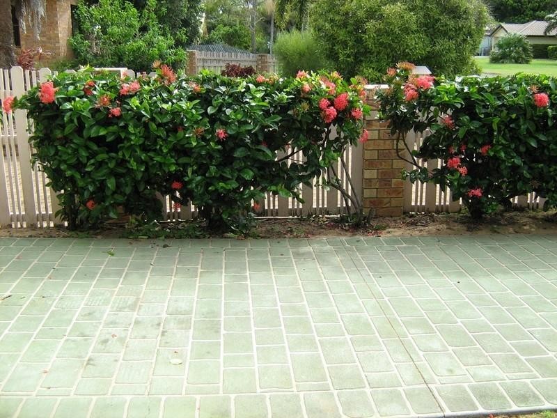 9 Bussey Street, Bargara QLD 4670